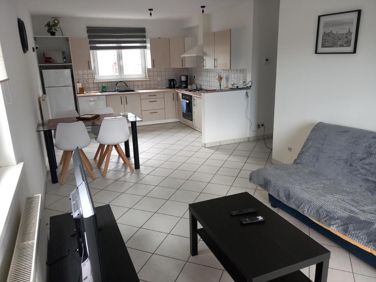 Appartement 3 Pieces Avec Balcon Rhinau Luaran gambar